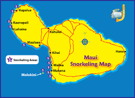 Recommended Maui Snorkeling Spots By Experienced Snorkelers