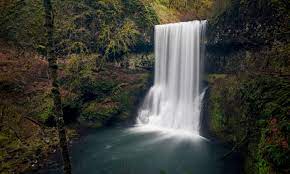 Compare prices & save money with tripadvisor (world's largest travel website). Silver Falls State Park The Official Guide To Portland