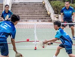 中产今年爱玩“球”