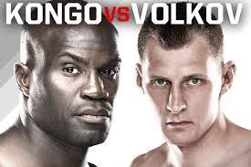 Aaron "The Cyborg" Ely MMA Stats, Pictures, News, Videos, Biography