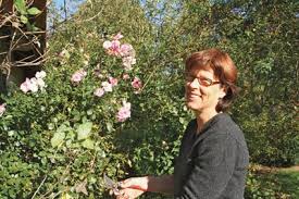 Zecken Im Garten Was Zu Beachten Ist