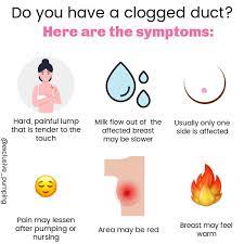 A Pain In The Boob: Clogged Milk Ducts And How To Clear Them
