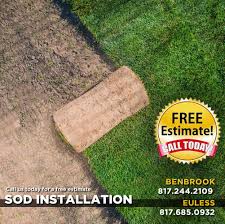 Augustine grass goes dormant when soil temperatures dip down to 55℉ (12℃). Raleigh St Augustine And Palmetto St Augustine Grass Sod Pallet Premier Nursery