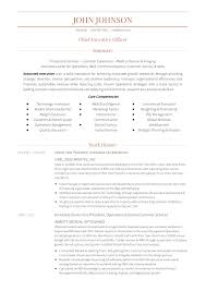 24 award winning ceo resume templates