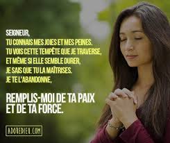 Seigneur Tu Connais Mes Joies Et Mes Peines Tu Vois Cette Tempete Que Je Traverse Et Meme Si Elle Sem Prieres Chretiennes Parole Biblique Priere Quotidienne