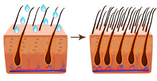 Vitamin d stimulates hair follicles to grow, and so when the body does not have enough, the. 11 Vitamins And Minerals Deficiencies That Cause Hair Loss Drformulas