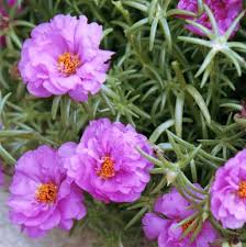 Keep in mind that the differences between the real and fakes are not the same as they were in in the list below, we'll include descriptions of how you can tell the difference between a real piece of art and. 45 Best Summer Flowers Beautiful Flowers That Bloom All Summer