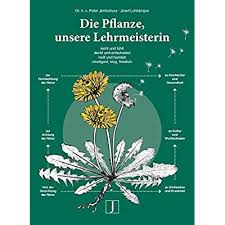There are 3 companies in the pflanze pharma private limited corporate family. Buy Die Pflanze Unsere Lehrmeisterin Sieht Und Fuhlt Denkt Und Entscheidet Intelligent Klug Friedlich German Hardcover January 8 2016 Online In Ghana 393387422x