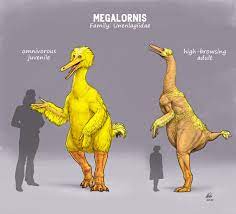 Speculative Sesame Street: Big Bird as a Herbivorous Theropod and  Snuffleupagus as a relative of Monotremes. Art By Mette Aumala. :  rSpeculativeEvolution