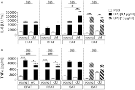 Jonas barros — quando seu namorado for eu 03:02. Frontiers Age Dependent Changes Of Adipokine And Cytokine Secretion From Rat Adipose Tissue By Endogenous And Exogenous Toll Like Receptor Agonists Immunology