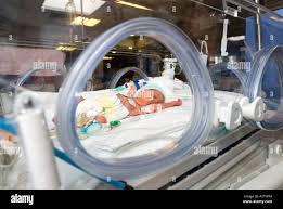 Incubator Baby High Resolution Stock Photography And Images Alamy