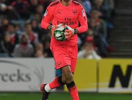 Он играет на позиции вратарь. Emiliano Martinez Footie Spot