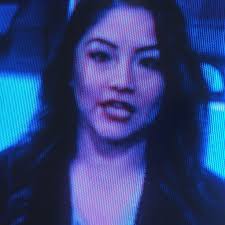 Jose Fernando Chang custodio (changcustodio)