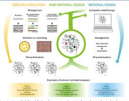 This common organic solvents list includes dmds, dmc, dms, mek, dmf solvents, morpholine and. Figure 2 From Strategies For Stabilization Of Enzymes In Organic Solvents Semantic Scholar