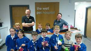 Here you'll find everything you need about well pet vet clinic and how we can help you. Visit To Well Pet Hospital Carraroe 13th Sligo Ballisodare Scouts