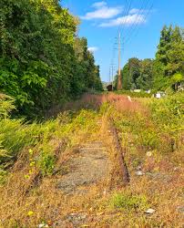 Image result for Yellow 1961 Tappan