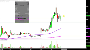 Magnegas Applied Technology Solutions Inc Mnga Stock Chart Technical Analysis For 11 13 18