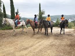 Collection 99 photos 11 videos. Cute Family Business Traveller Reviews Island Horses Tripadvisor