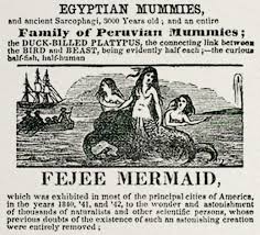 At bottom, author madison smartt bell writes a story for his image below. The Ugly Mermaid Hakai Magazine