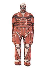 Attack On Titan Colossal Titan Cushion Pillow Attack On Titan Titans Pillow Cushion