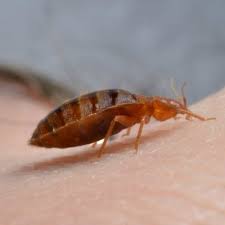 Using this book you'll discover as many options as possible for an integrated pest management approach to. Northern States Pest And Weed Control Moscow Id Pest Control Mapquest