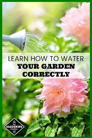 Check spelling or type a new query. Watering The Vegetable Garden Gardening Channel