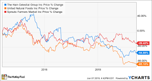 3 questions beyond meat investors should be asking right now