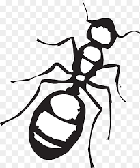 Ant monochrome image public domain vectors. Semut Putih Png Pngegg