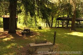 Maybe you would like to learn more about one of these? Bear Spring Mountain Campground Campsite Photos Site 37