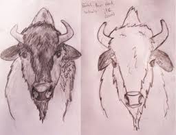 How To Draw A Bison Head Google Search Drawing Pinterest Drawings Drawings Pinterest Art Quilts