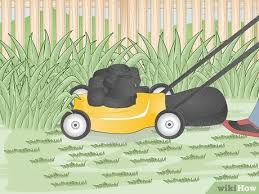 Hand wipe all of the plant leaves with a wet sponge or baby wipe. 3 Ways To Keep Spiders Away Wikihow