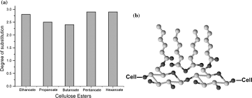 Інформація до номеру +38 (095) 824 77 25. Twenty Five Years Of Cellulose Chemistry Innovations In The Dissolution Of The Biopolymer And Its Transformation Into Esters And Ethers Springerlink