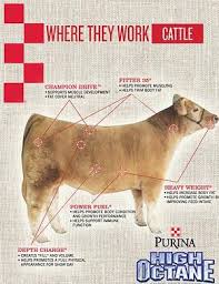 Caldwell Feeds Farm Blog Where They Work Cattle Purina