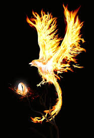 It was also considered to be the sign of a new era. Phoenix And Roc Mythological Birds Dinoanimals Com