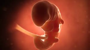 Pada minggu ke 16, lingkar pinggang anda akan mulai selain beberapa gejala hamil 4 bulan seperti di atas, heartburn adalah gejala lainnya yang bisa muncul. Perkembangan Janin Hamil 4 Minggu Enfa