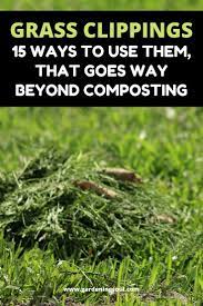 Grass Clippings 15 Ways To Use Them That Goes Way Beyond Composting Grass Clippings Garden Mulch Grass