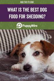 Best Dog Food For Shedding And Dry Skin 2021 Reviews Dog Food Recipes Best Dog Food Dogs