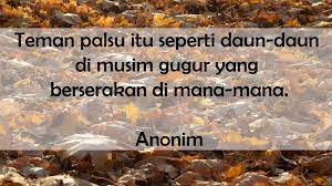 Matahari belumlah menampakkan dirinya pagi itu. 20 Kata Kata Untuk Sahabat Yang Munafik Agar Sadar Posbagus