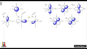 Solved In The Following Lewis Structure Of O3, Every Atom, | Chegg.Com