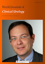 World Journal of Clinical Urology
