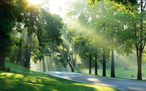 Incredible Spring Morning Spring Pictures Beautiful Nature Pictures