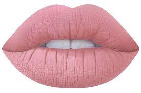Apply liquid lipstick to bare lips with wand. Marshmallow Matte Lipstick Lime Crime Velvetines Lime Crime Velvetines Cashmere Lime Crime Lipstick