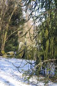 Der botanische garten in hohenheim entstand 1776 im auftrag herzog carl eugens von württemberg als landschaftsgarten beim hohenheimer schloss. Ruinen Botanischer Garten Hohenheim Mapio Net