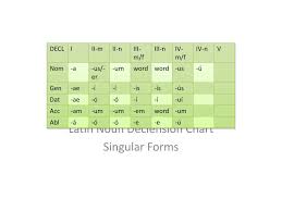 Ppt Latin Noun Declension Chart Singular Forms Powerpoint