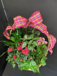 Your memphis, tn flower specialists for fresh flower delivery! Euro Garden In Memphis Tn Piano S Flowers Gifts Inc
