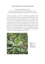 Artikel ini akan membincangkan khasiat buah betik, kandungan nutrisi dan komponen sihat di dalamnya. Doc Pucuk Gajus Untuk Awet Muda Fadzilah Adibah Abdul Majid Academia Edu