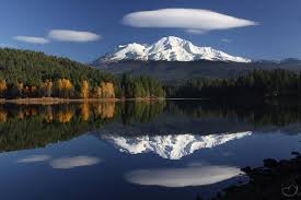 Nor Cal Realtor- Veronica Gibbons