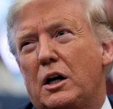 Vamos a garantizar la paz y la tranquilidad en México