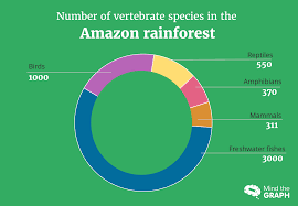 the biodiversity of the amazon rainforest in images