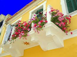 We did not find results for: 18 Vietnam Garden Ideas Container Gardening Plants Garden Design